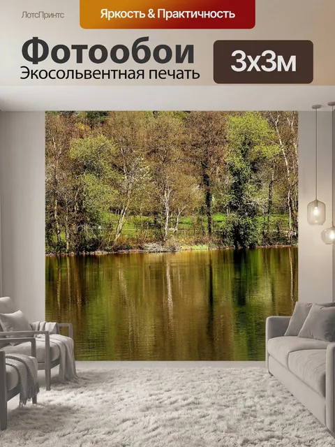 Фотообои Лес