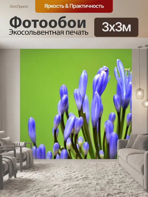 Фотообои Фиолетовый