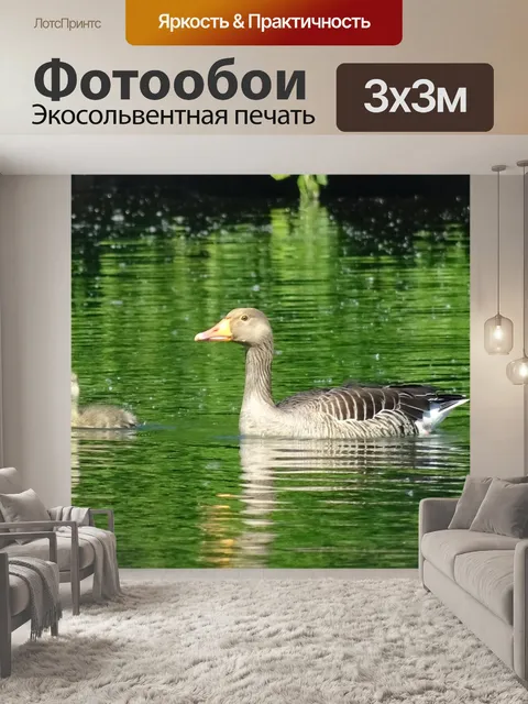 Фотообои Дикий
