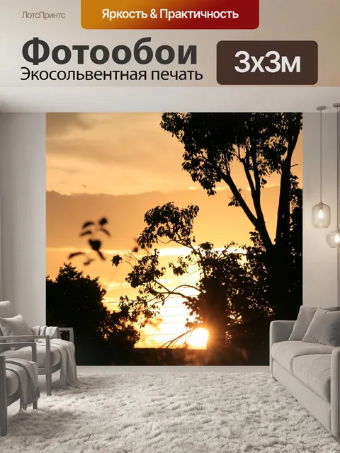 Фотообои Солнце во время установки