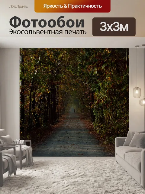 Фотообои Дорога