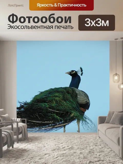 Фотообои Павлин