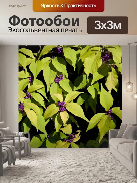Фотообои Фрукты