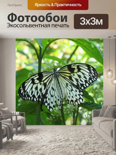 Фотообои Бабочка