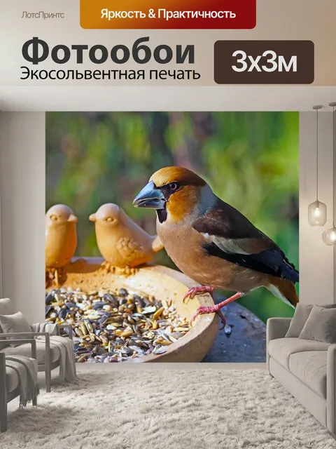 Фотообои Природа