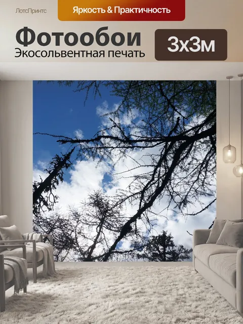 Фотообои Лес
