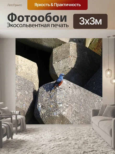 Фотообои Животное