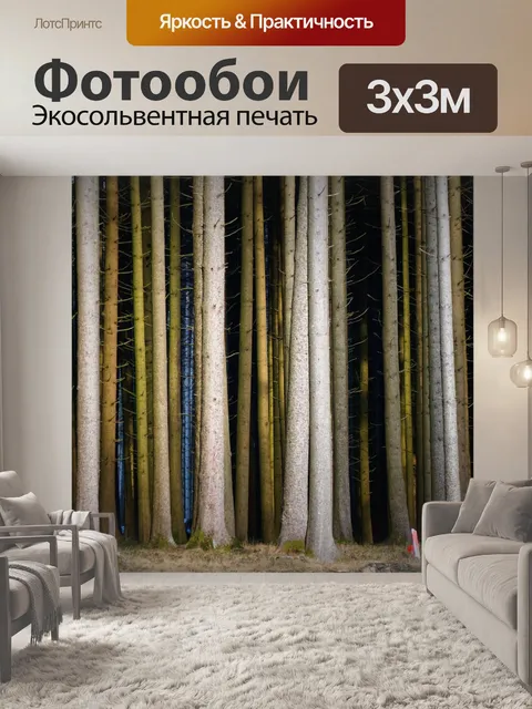 Фотообои Лес