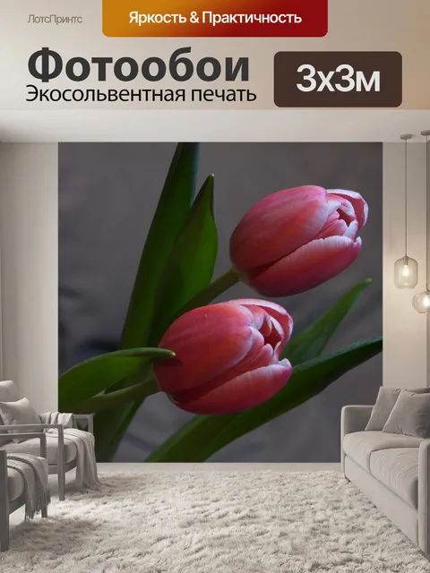 Фотообои Тюльпаны