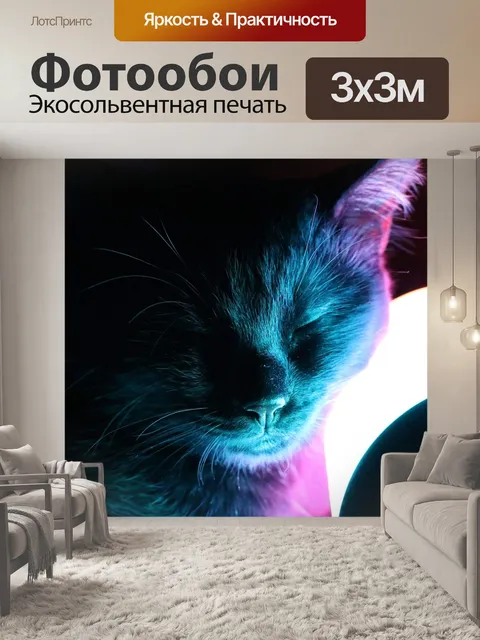Фотообои Кошка