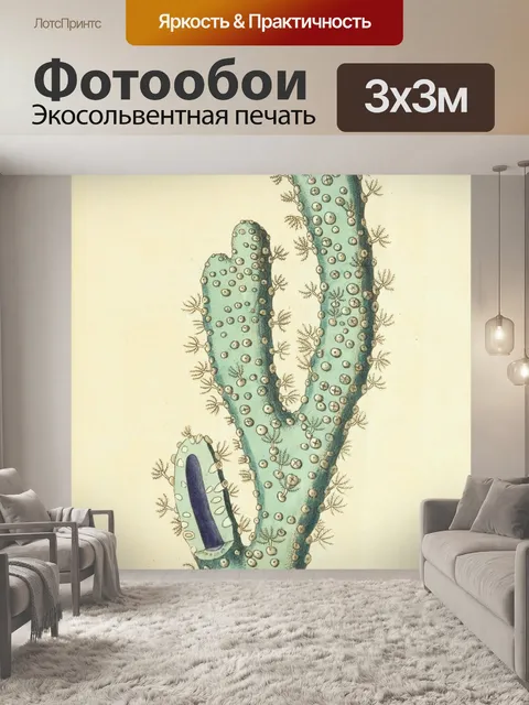 Фотообои Коралловые старинные картины искусства