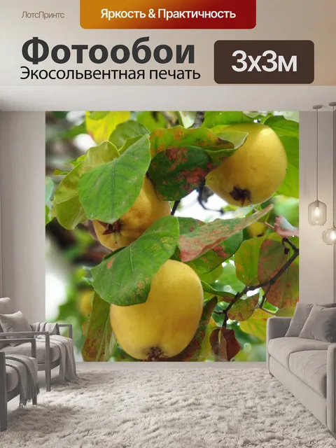 Фотообои Зима