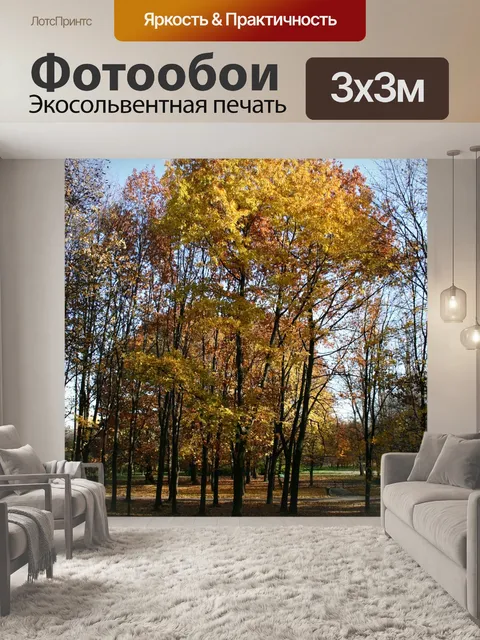Фотообои Парк