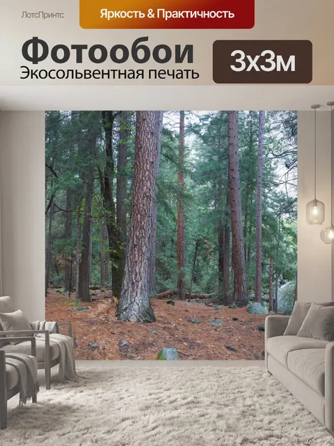 Фотообои Сосновые леса Калифорнии