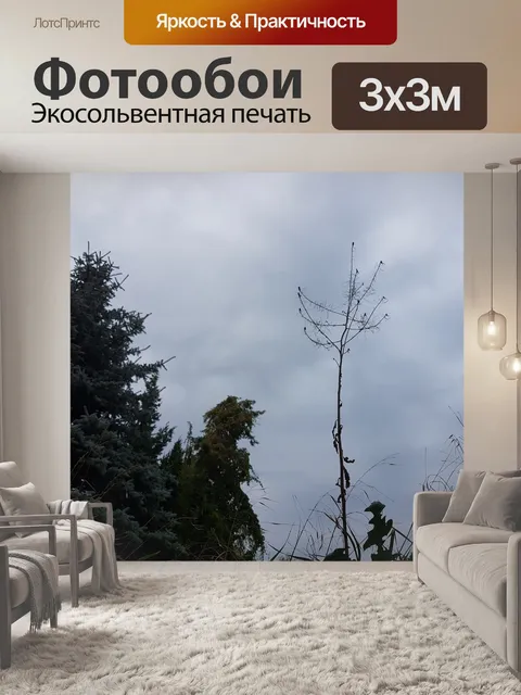 Фотообои Злаки и верхушки деревьев