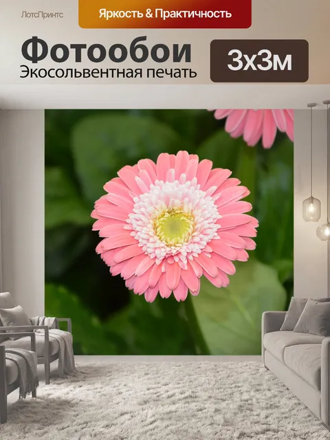 Фотообои Цветок