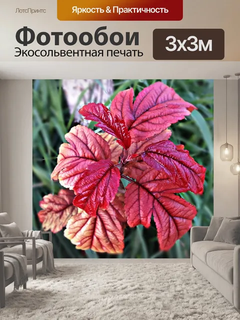 Фотообои Цветок