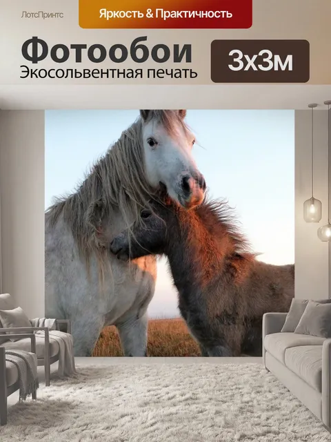 Фотообои Дикий