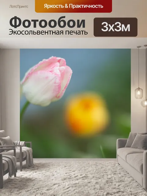Фотообои Тюльпаны