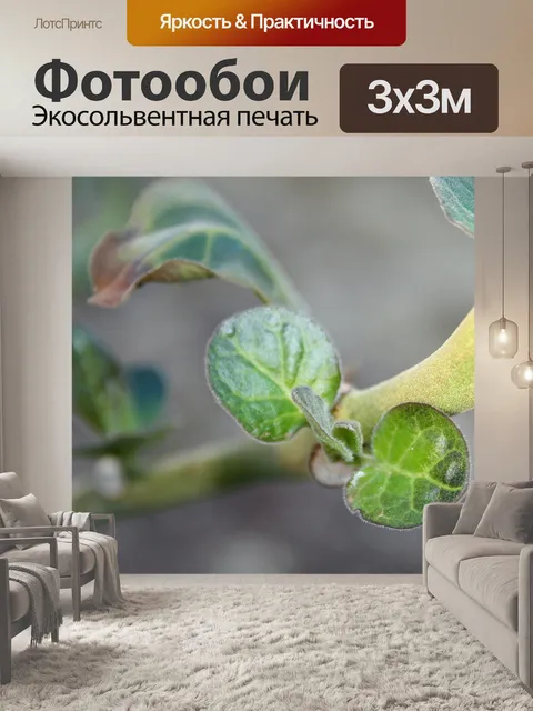 Фотообои небольшие новые листья