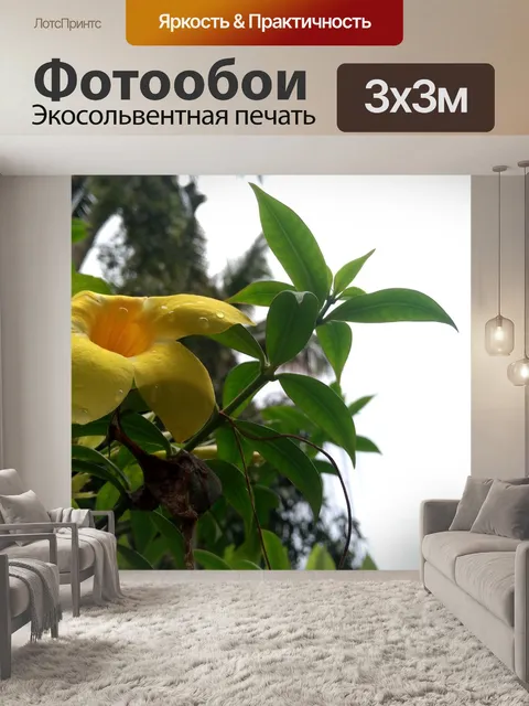 Фотообои Керала