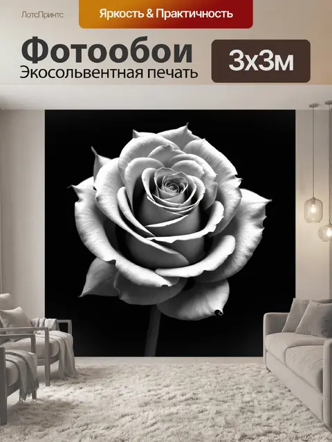 Фотообои розы в стиле минимализм
