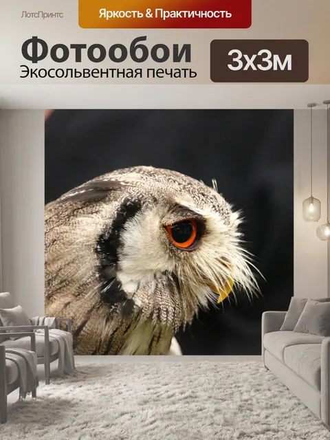 Фотообои Птица
