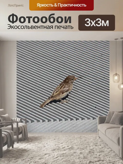 Фотообои Птица