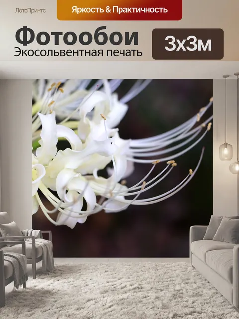 Фотообои Белый