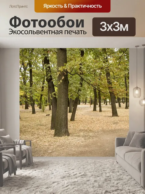 Фотообои Парк