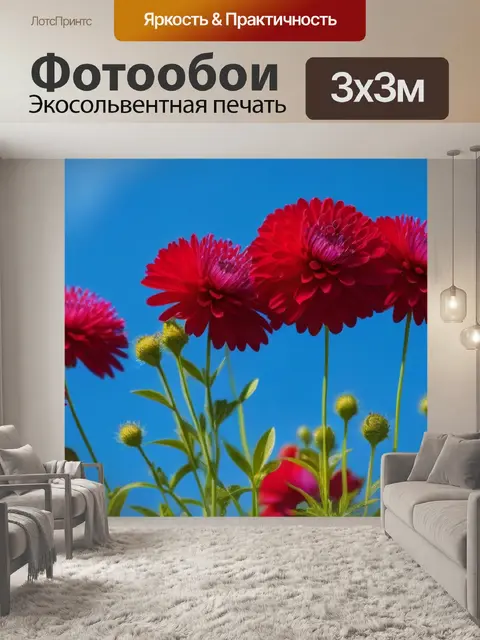 Фотообои цветы на фоне голубого неба