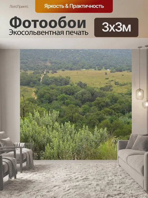 Фотообои Долина с лугами