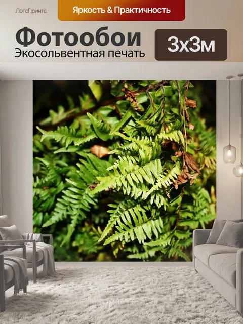Фотообои листья папоротника
