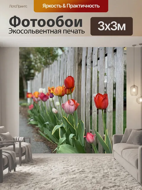 Фотообои Тюльпаны