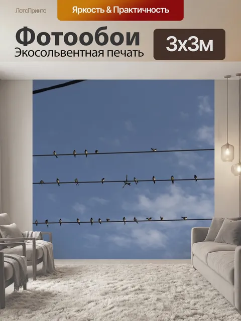 Фотообои Ласточки