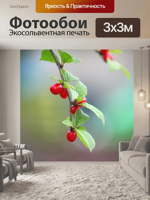 Фотообои Лист