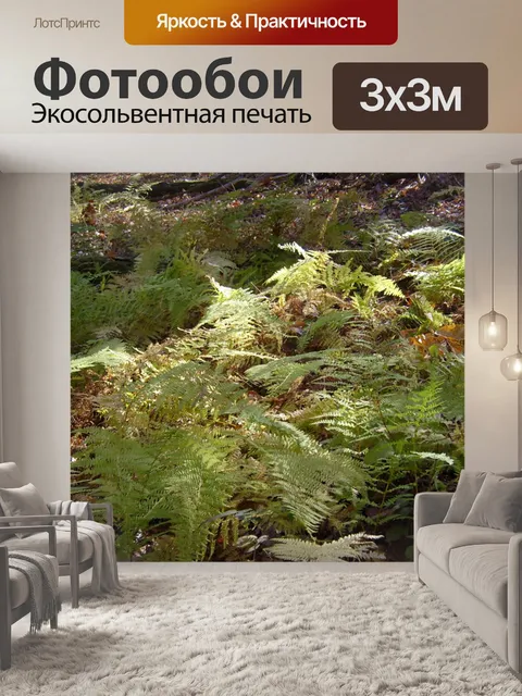 Фотообои Папоротник