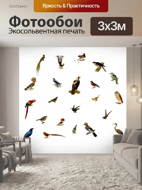 Фотообои Bird Vintage Print