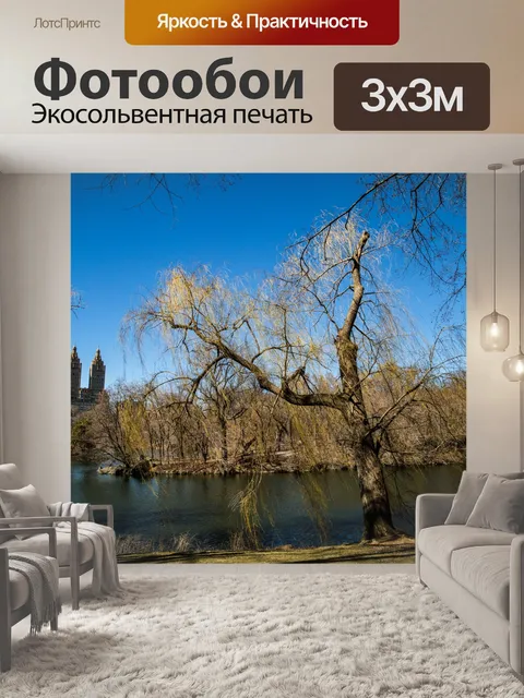 Фотообои Центральный парк, Нью-Йорк