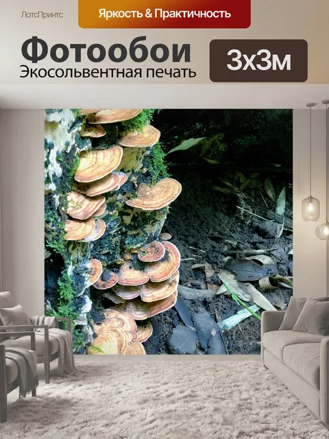 Фотообои Гриб