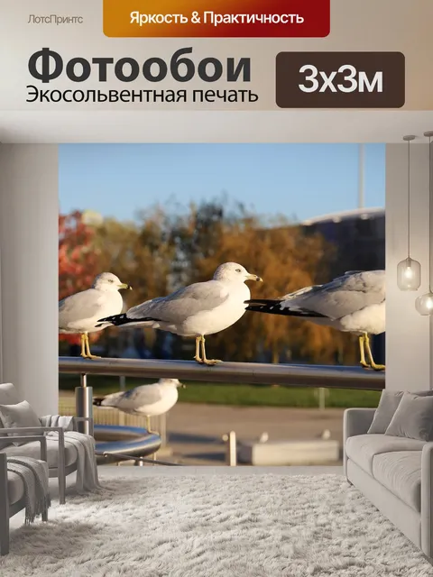 Фотообои Птица