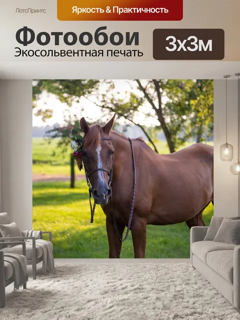 Фотообои Лошадь