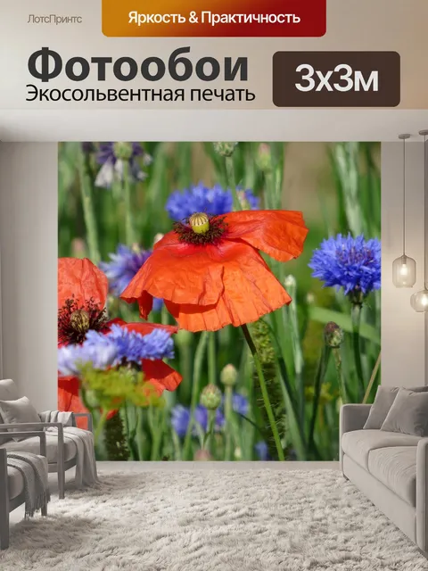Фотообои Цветы