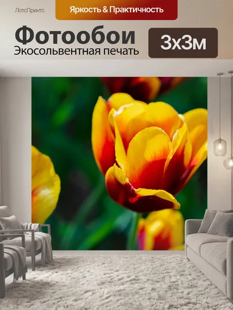 Фотообои Тюльпаны