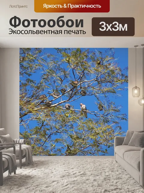 Фотообои Птицы