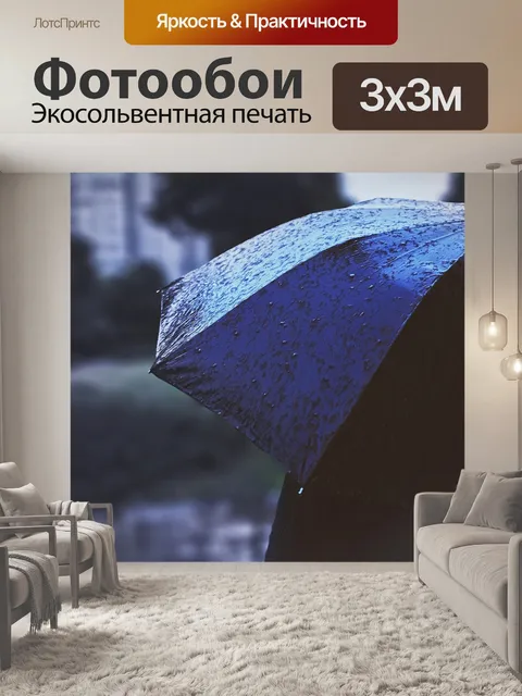 Фотообои Фудзи