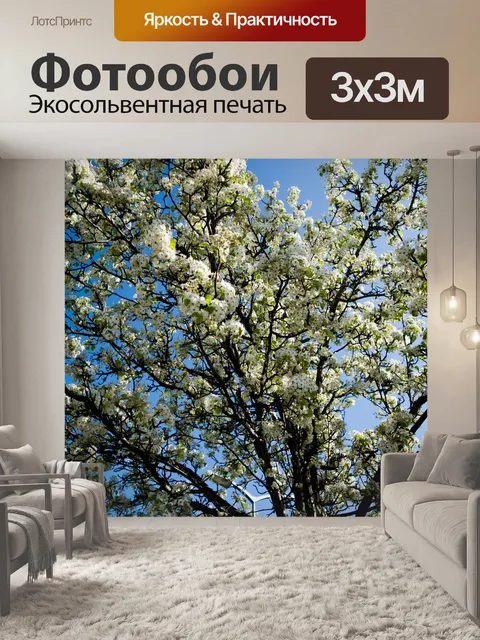 Фотообои Деревья