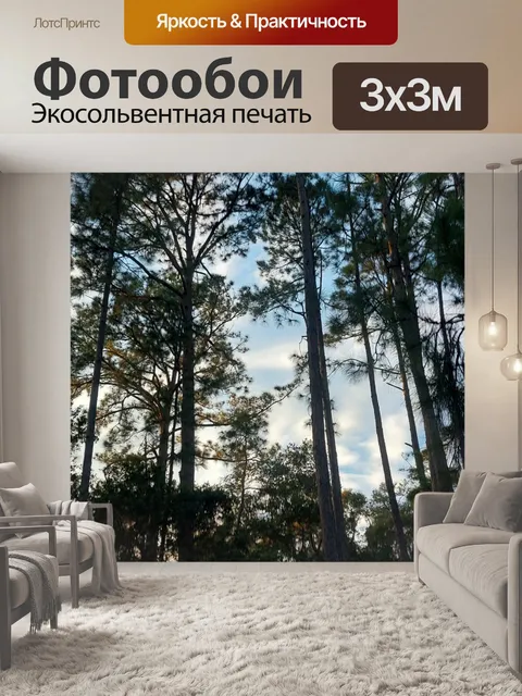 Фотообои Деревья в силуэте