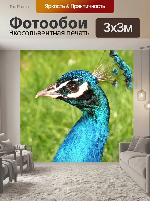 Фотообои Павлин