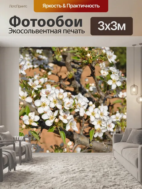 Фотообои Дерево